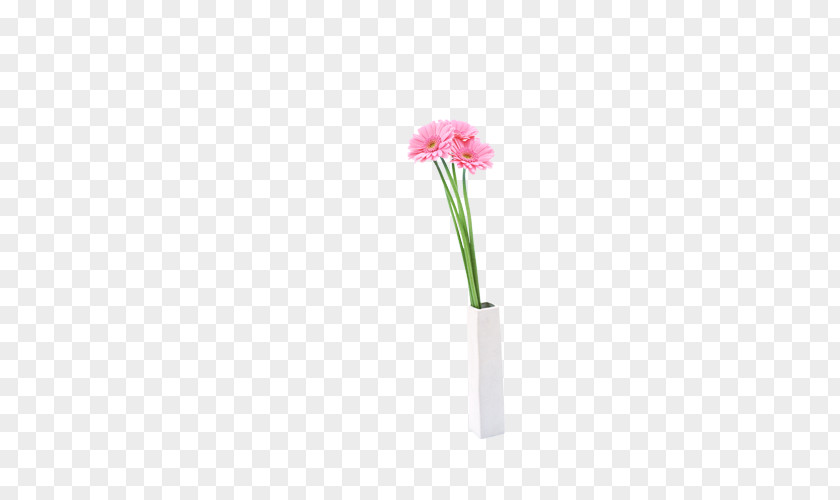Flowers Cut Vase Plant Stem Petal PNG