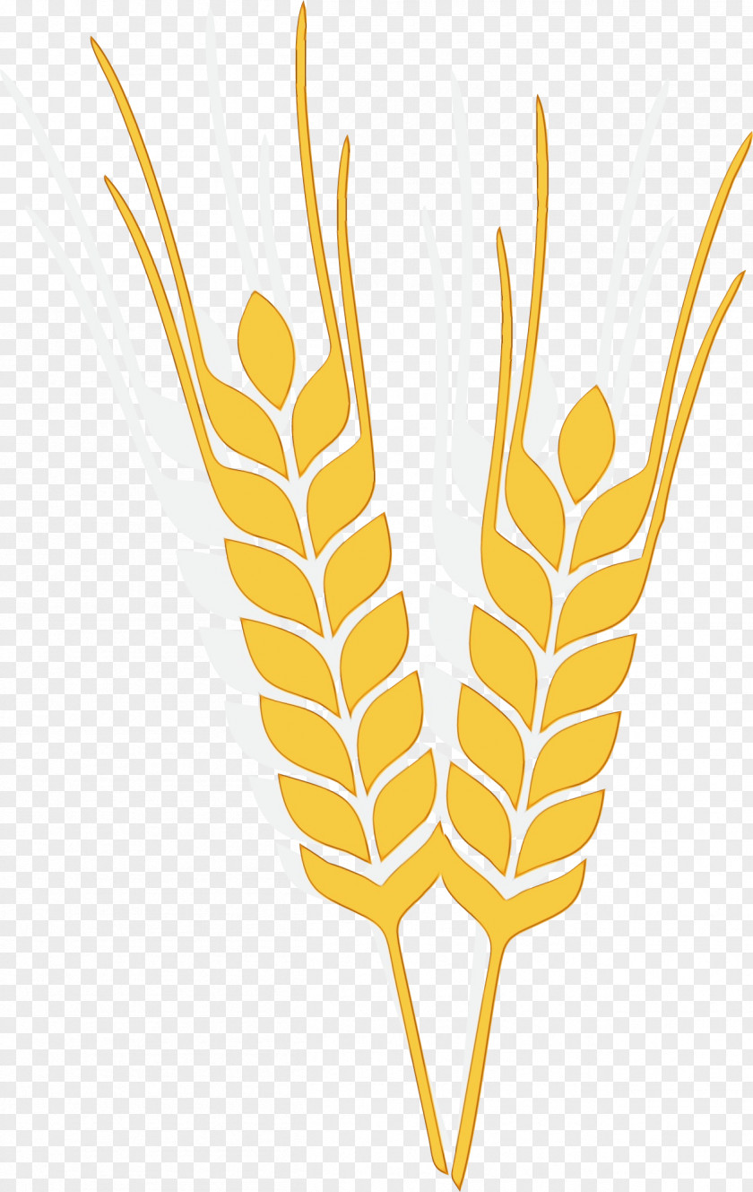 Grasses Cartoon Line Art Oat Leaf PNG