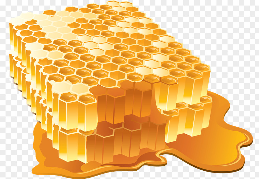 Miel Ebert Honey Company, LLC Bee PNG