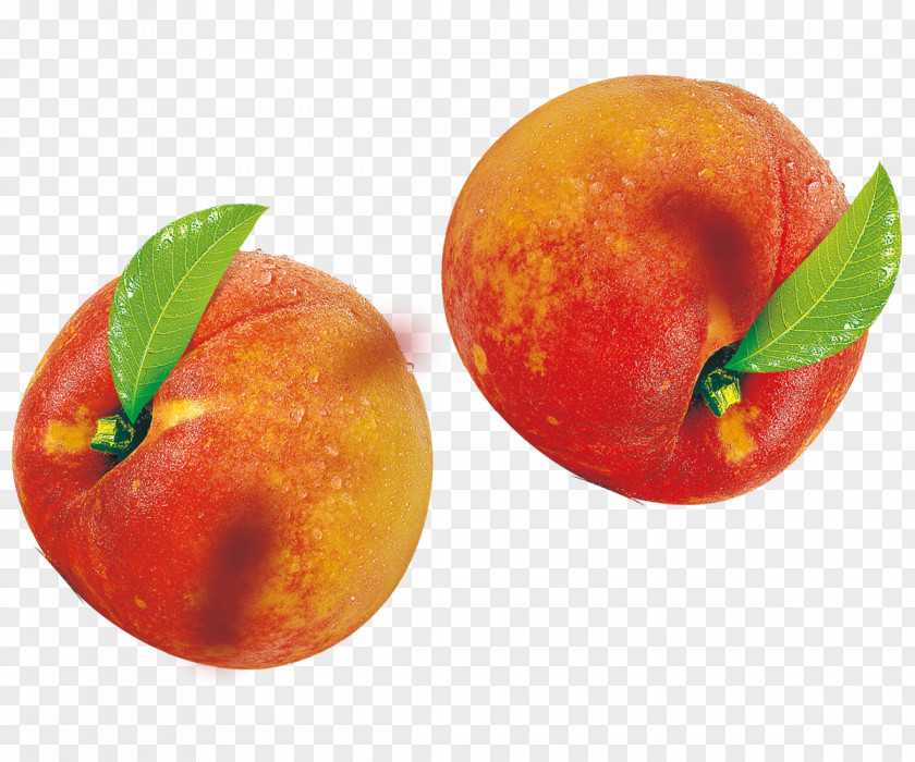 Peach Blood Orange Fruit PNG
