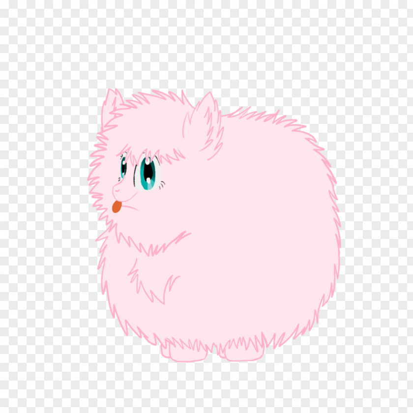 Puff Whiskers Kitten Pig Cat Dog PNG
