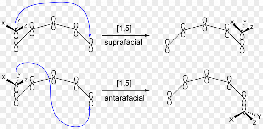 Tara Sigmatropic Reaction Rearrangement Atom Cope Antarafacial And Suprafacial PNG