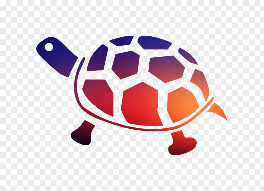 Turtle Beer Tortoise Drink Coffee PNG