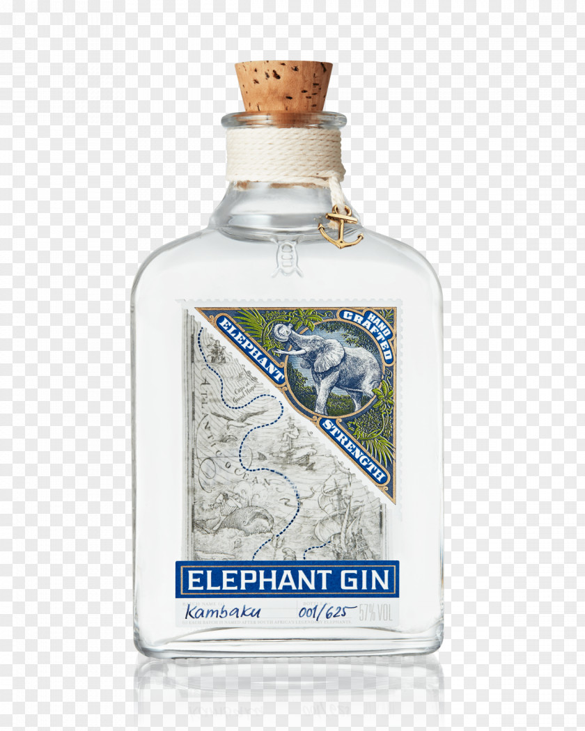 Gin And Tonic Distilled Beverage Whiskey Jenever PNG