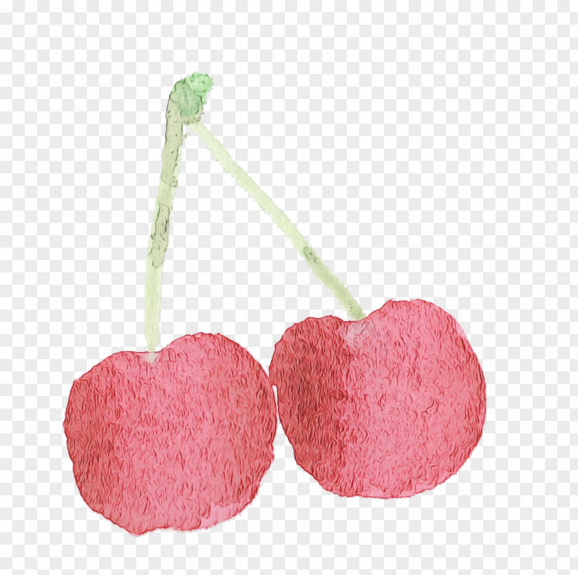 Pink Cherry Heart Plant Drupe PNG