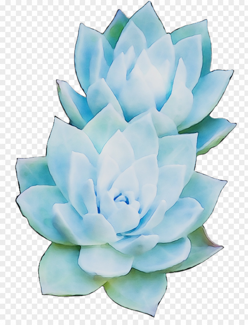 Artificial Flower Petal Cut Flowers Turquoise PNG