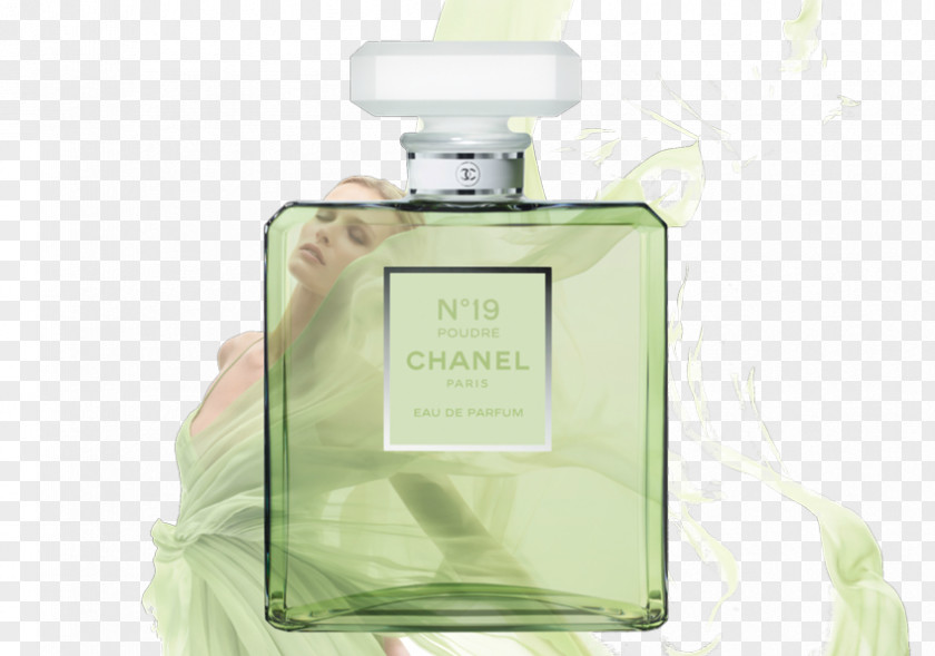 Chanel No. 19 5 Coco Perfume PNG