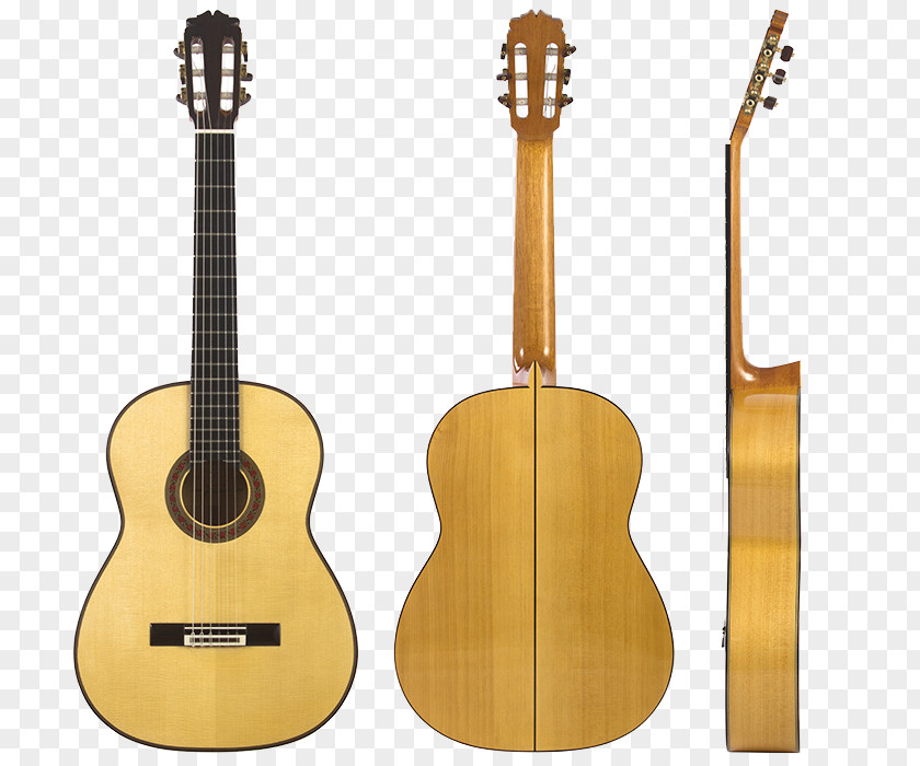 Guitar Flamenco Classical Acoustic PNG