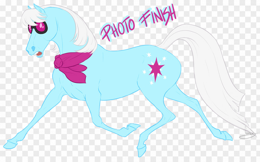 Mustang Pony Mane Photography PNG