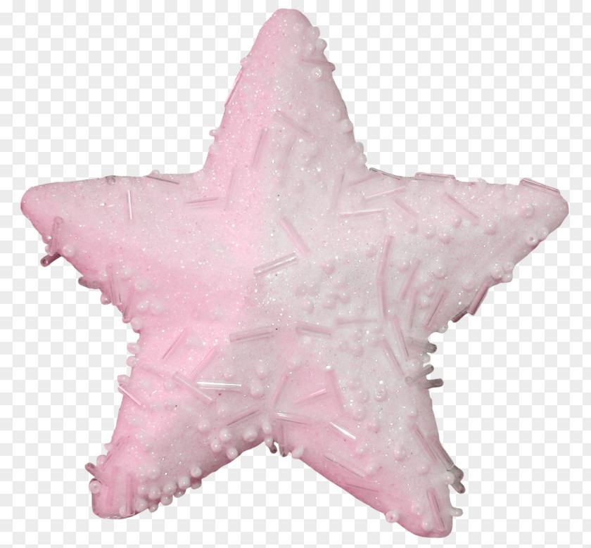 Pink Little Star Twinkle, Starfish Ping PNG