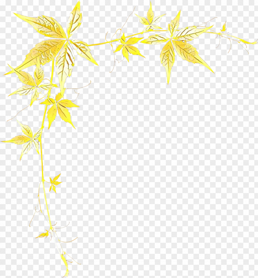 Plant Stem Flower Yellow Leaf Line PNG