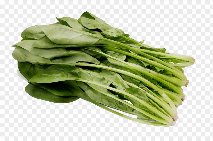 Spinach Vegetarian Cuisine Spring Greens Komatsuna Rapini PNG