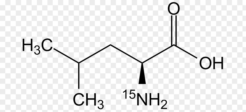 Appositive Silhouette Valeric Acid Amino Methionine 2-Ethylhexanoic PNG