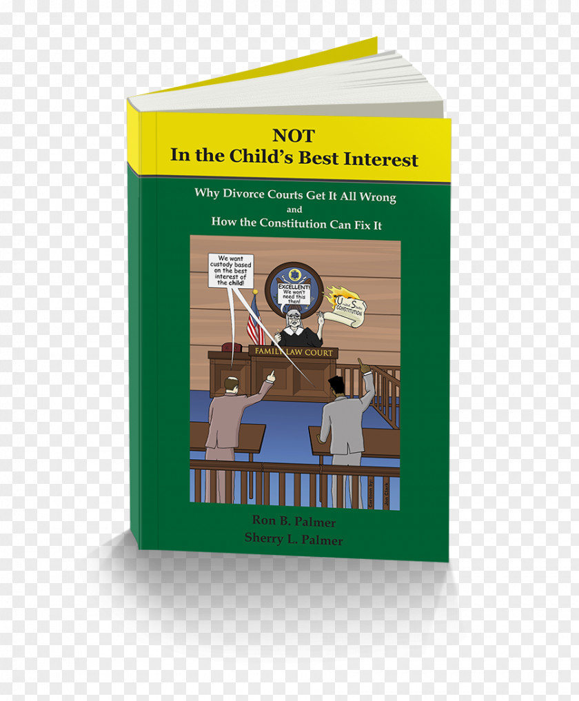 Child Best Interests Not In The Child's Interest: How Divorce Courts Get It All Wrong And Constitution Can Fix Custody Support PNG