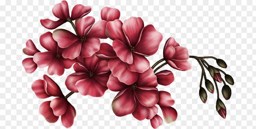 Flower Cut Flowers Floral Design Art PNG