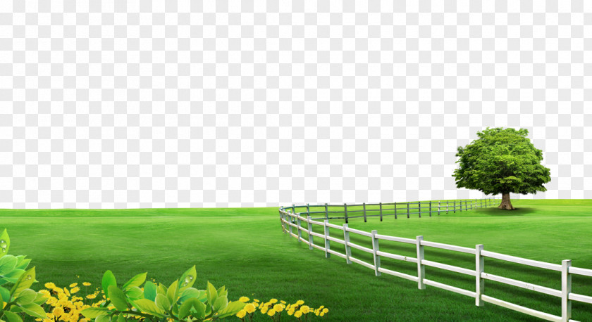 Grassland Fence Tree Background Material Poster Computer File PNG