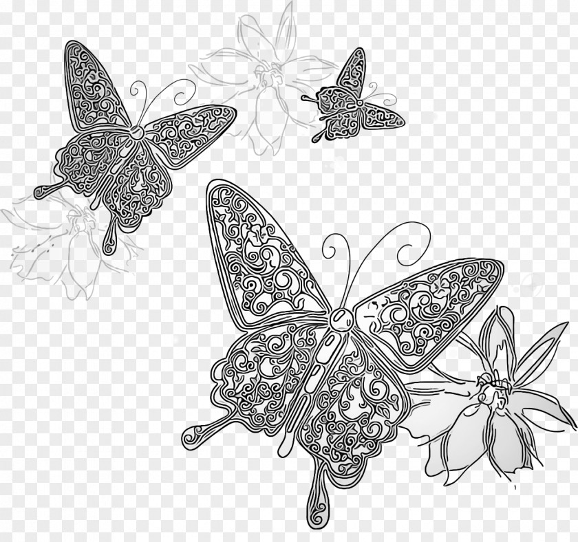 Metal Blackandwhite Butterfly Moths And Butterflies Insect Wing Pollinator PNG