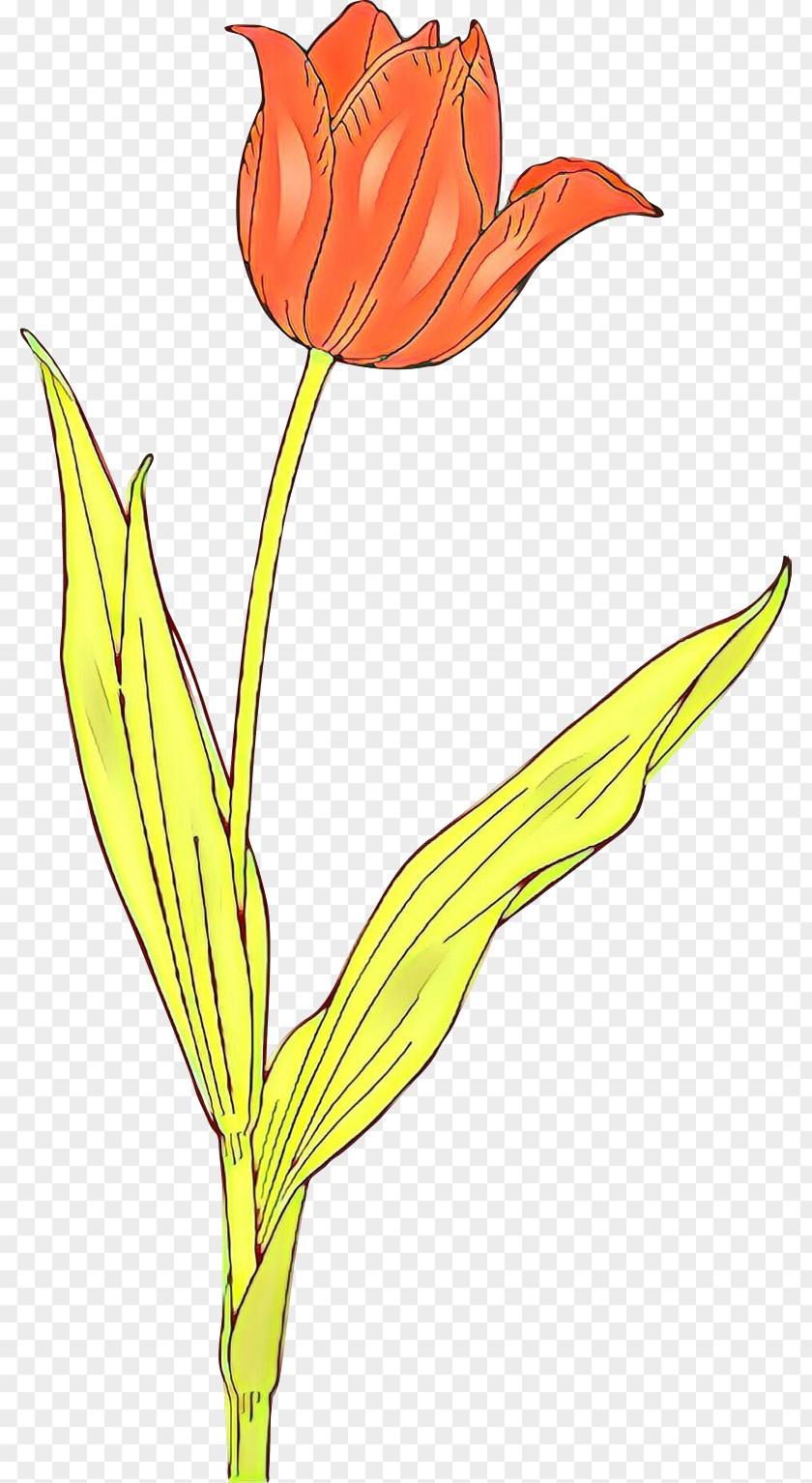 Tulip Clip Art Flower Openclipart Floral Design PNG