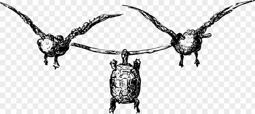 Turtle Aesop's Fables Tortoise Clip Art PNG