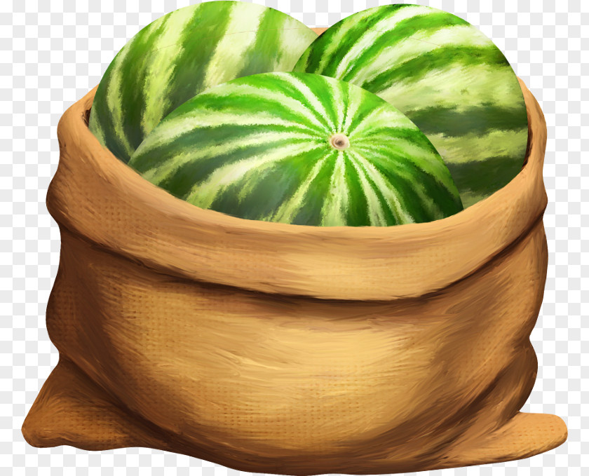 Watermelon Gunny Sack Vegetable Auglis PNG