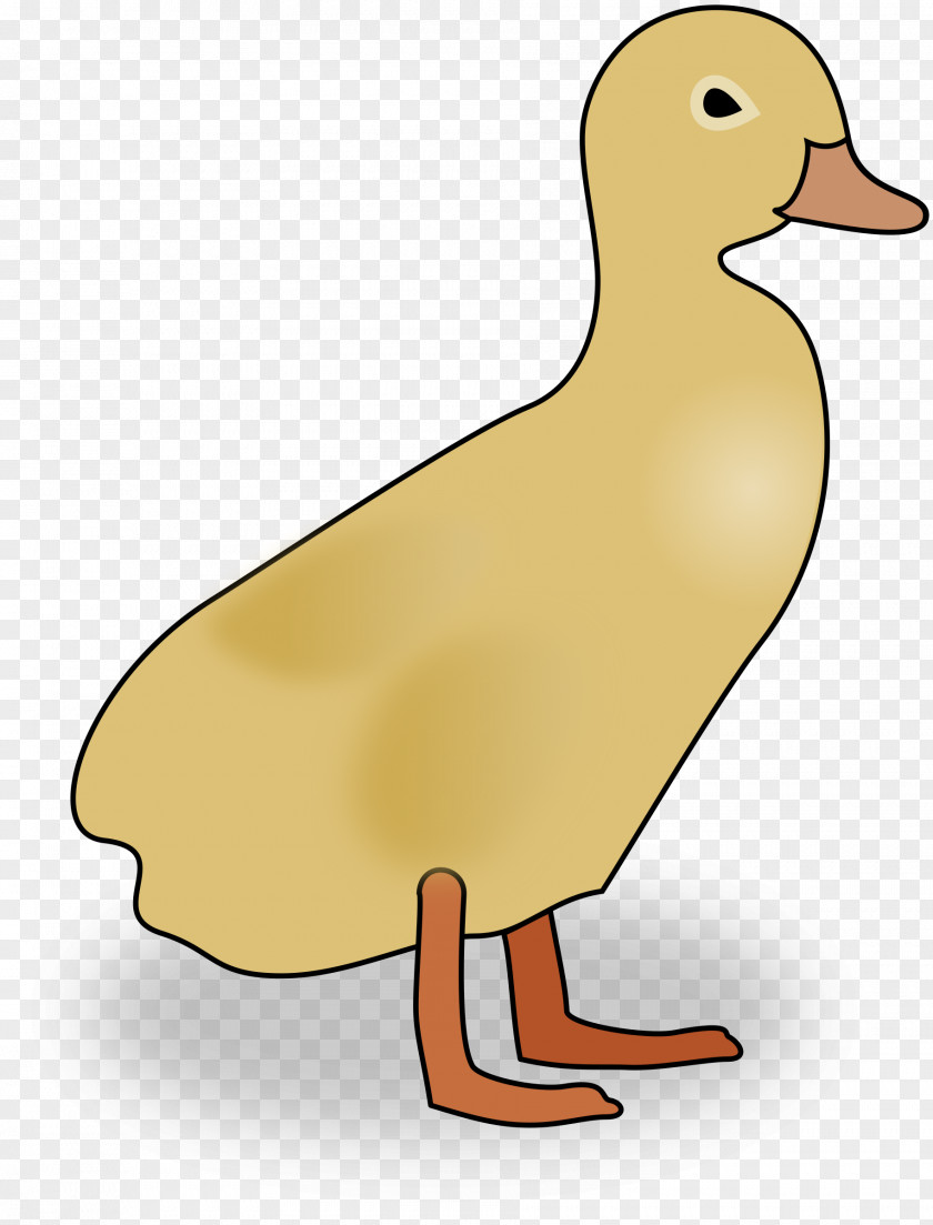 Duck Baby Duckling The Ugly Clip Art PNG