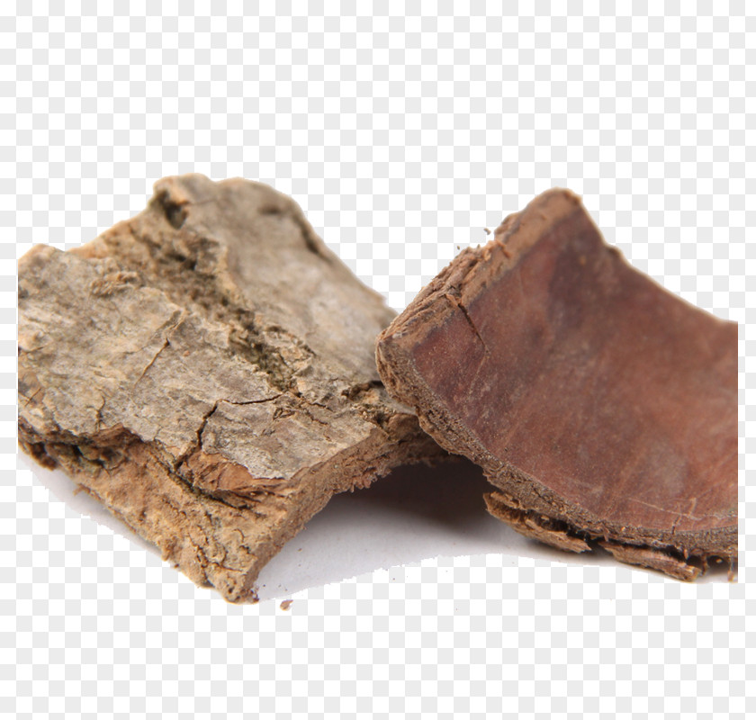Eucommia Bark Herbs Ulmoides Chinese Herbology PNG