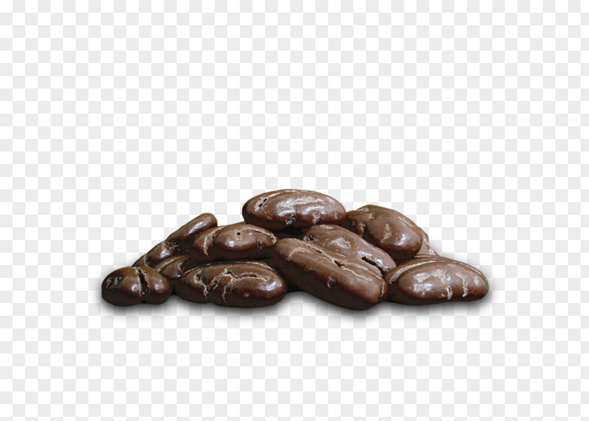 Nuez Cocoa Bean Commodity Cacao Tree PNG