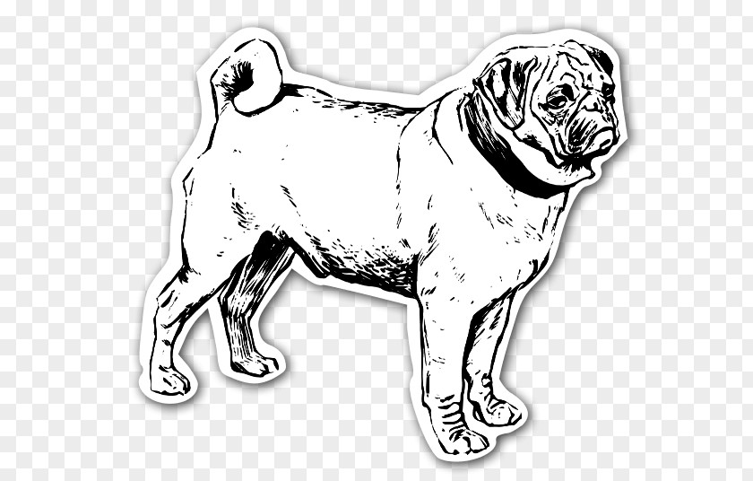 Puppy Puggle Coloring Book Pet PNG