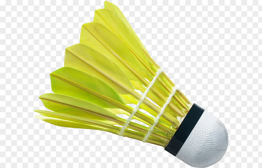 Badminton Shuttlecock Badmintonracket PNG