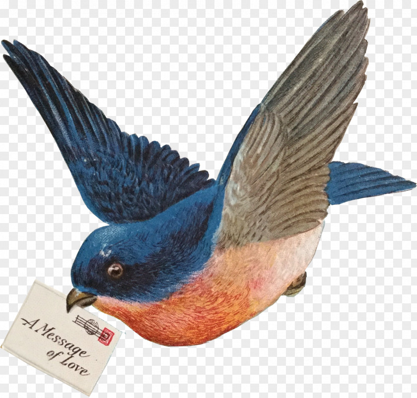 Blue Bird Beak Art Sales Garage Sale PNG