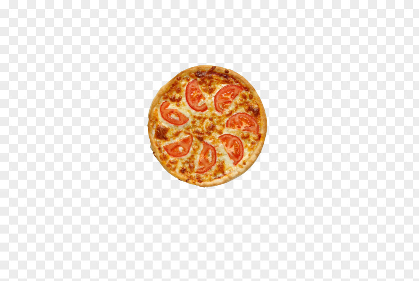 Cheese Pizza Goat Food PNG