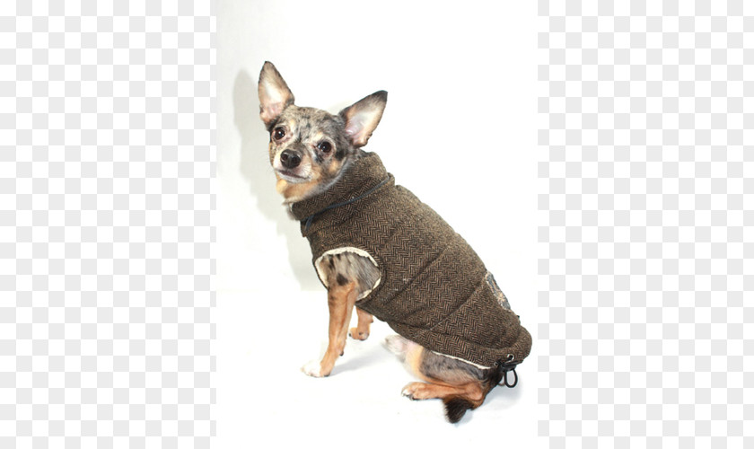 Jacket Chihuahua Overcoat Clothing Accessories Collar PNG