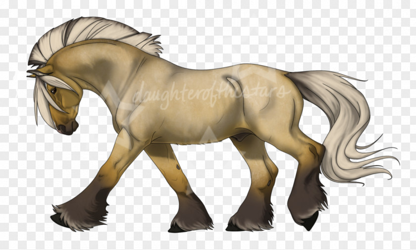 Mustang Pony DeviantArt Stallion Foal PNG