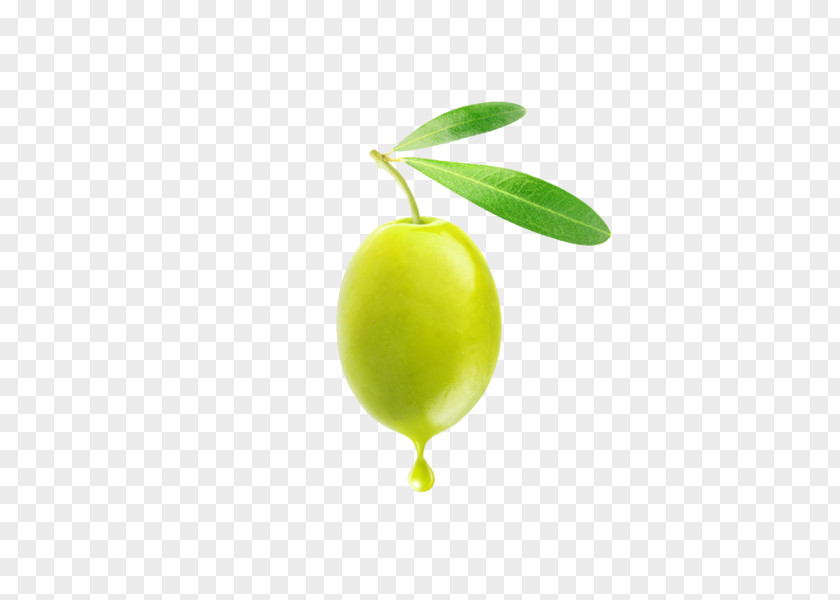 Olive Oil Fruit PNG