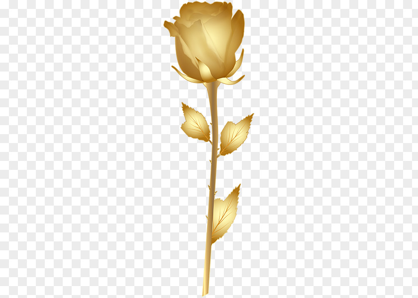 Rose Gold Clip Art PNG