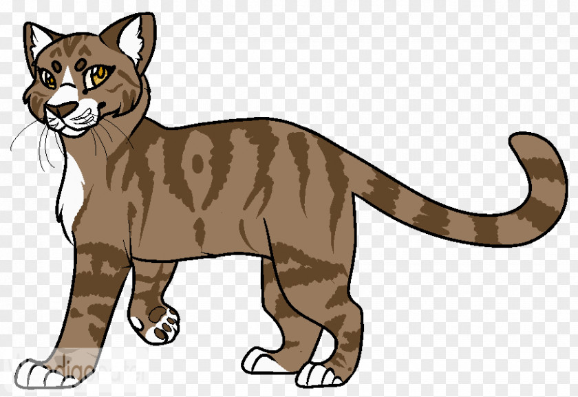 Tiger Cougar Whiskers Cat Lion PNG