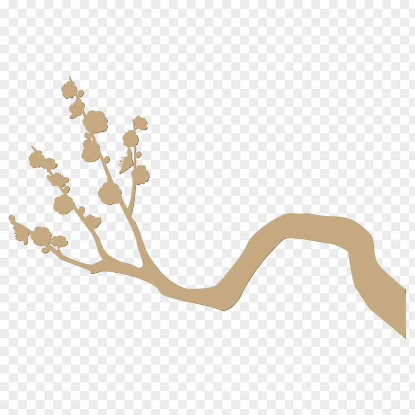 Beige Twig Branch Plant Flower Tree Blossom PNG