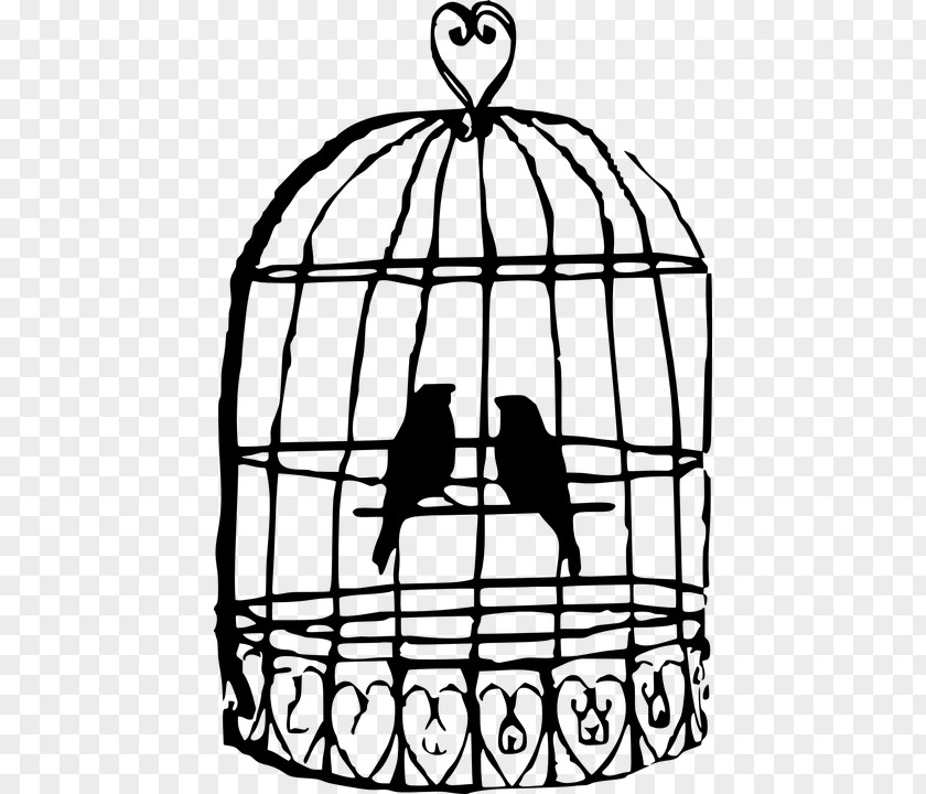 Bird Birdcage Parrot Clip Art PNG