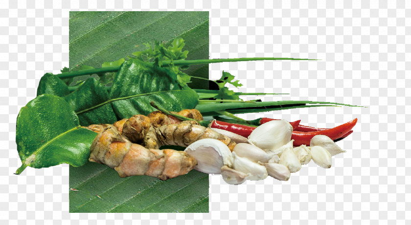 เนสก Chiang Mai Province Leaf Vegetable Sai Ua Herb Food PNG