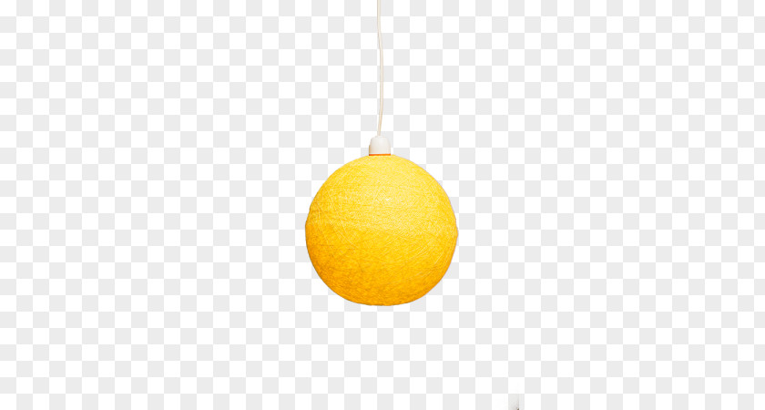 Citrus Ceiling Light Fixture PNG