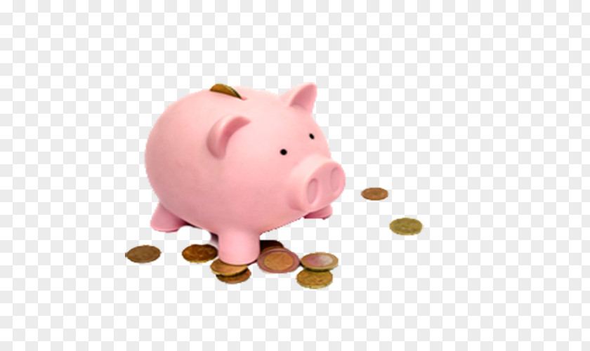 Free Pink Pig Piggy Bank To Pull The Material Coin Investment Saving PNG