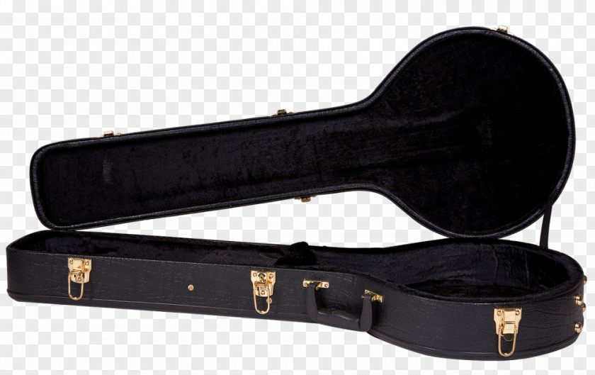 Guitar Irish Bouzouki Mandolin Musical Instruments PNG