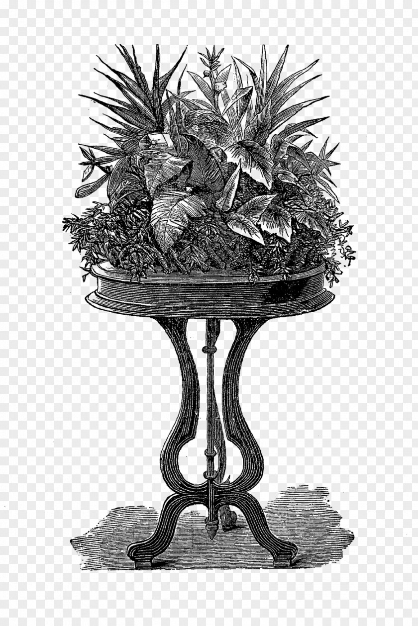 Potted Plant Victorian Era Houseplant PNG