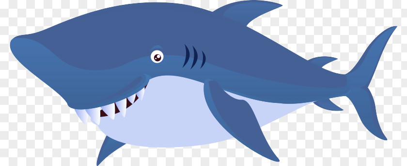 Sharks Animation 2021 Cartilaginous Fishes Fish PNG