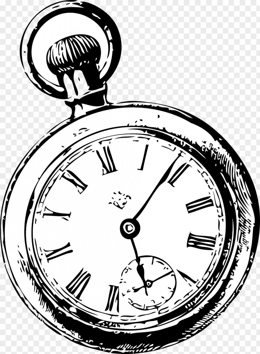 Sketch White Rabbit Pocket Watch Clip Art PNG