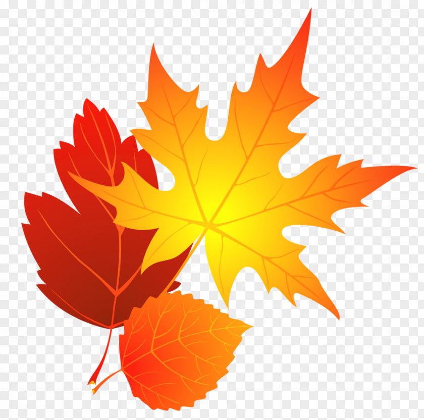 Transparent Fall Leaves Clipart PNG