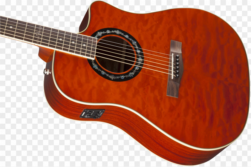 Acoustic Guitar Acoustic-electric Bass Tiple PNG