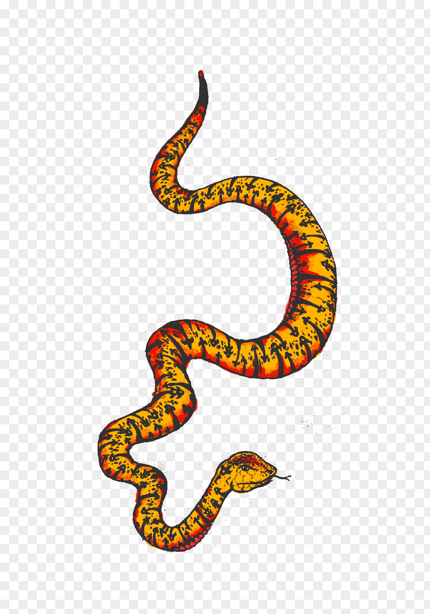 Anaconda Rattlesnake Reptile Vipers Kingsnakes PNG