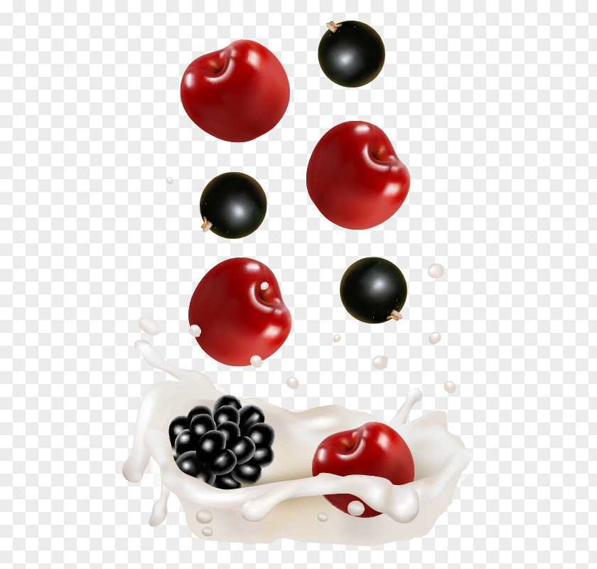 Blackberry Cherry Fruit Milk Vector Juice Frutti Di Bosco PNG