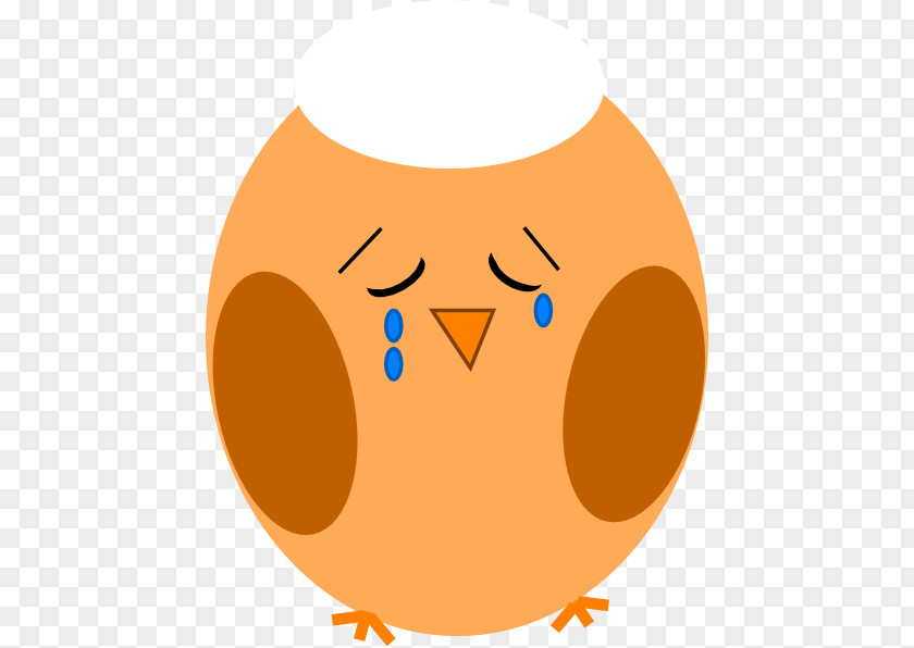 Owl Clip Art PNG